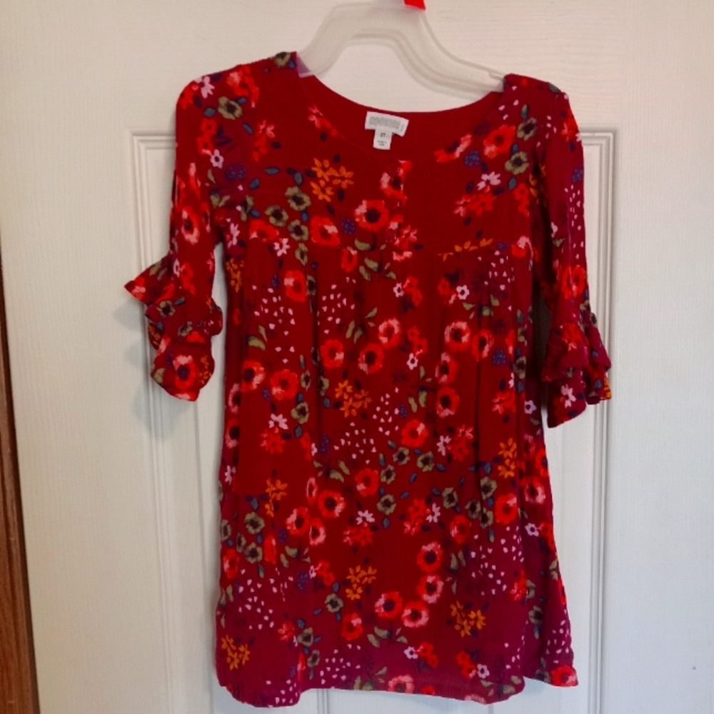 Dress size2t
